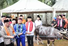 Andilan Kebo Tradition Sustains Betawi Spirit in Modern Jakarta