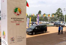 Indonesia Fights for WTO Reform in Cameroon