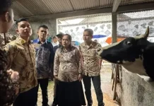VP Gibran Ensures Livestock Sector Strengthening in Central Java