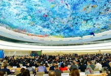 OIC Welcomes United Nations Human Rights Council Resolutions on Palestine