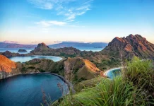 Ministry of Forestry Limits Tourist Quota to Visit Komodo National Park