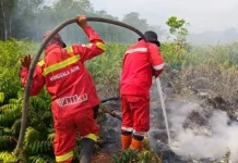 Anticipating Forest-Land Fires in 2026, Government Emphasizes Early Mitigation