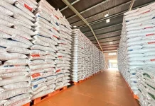 Facing 'El Nino', the Government Ensures Controlled Safe Rice Stocks