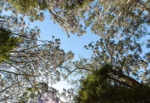 BRIN Advances Sustainable Resource Management with Earth Day Webinar