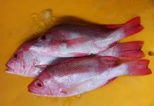 Can Snapper Give Nutritional Content and Benefits?