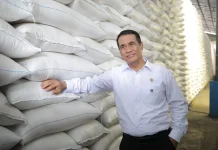 Indonesia Hits Record 5 Million Tons in Rice Reserves, Minister Signals End to Impor