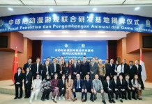 Indonesia, China Launch Joint Animation Center to Boost Digital Culture