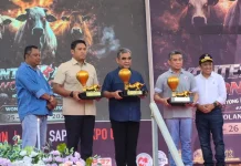 Indonesia Invites Investment in Livestock, Eyes Wonosobo as Dairy Hub