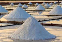 The Indonesian Government Accelerates the Development of K-SIGN in Rote Ndao