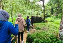 Tips of Climbing Mountain for Beginners