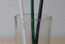 French Teenager Faces Threat of Punishment for Drinking Straw