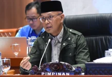 Parliament Urges UN to Evaluate Peacekeepers' Protection As Death Toll Increases