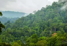 Indonesia Strengthens National Park Conservation Through Innovative Financing