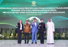 Government Ensures Carbon Trading Has High Quality and Integrity