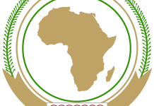 France Hosts African Summit to Broaden Alliances