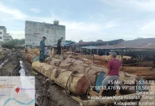 Joint Team Secures Thousands of Illegal Timber Logs at Five Sawmills in Asahan