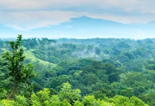 BRIN Pushes Ecosystem-Based Biosphere Reserve Management