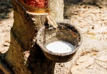 Trade Ministry Moves to Protect Rubber Exports in EU