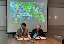 Indonesia-UNEP Focuses on Reducing Emissions from Deforestation