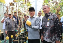 Indonesian Village Showcases Successful Rural Economic Development Model