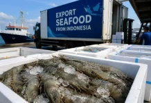 Government Encourages Exporters to Boost Shrimp Exports to Saudi Arabia