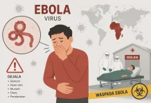 WHO: Early Detection Key to Tackling Ebola Outbreak