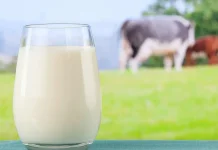 Indonesia Pushes for Higher Milk Production on World Milk Day