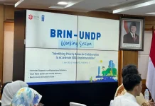 BRIN, UNDP Explore Research Infrastructure Partnership to Support SDGs Goals