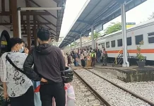 Trans-Sumatra Railway Should Based on Local and Business Needs: Parliament