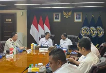 Government Protects Local Creative Industry from Illegal Foreign Workers