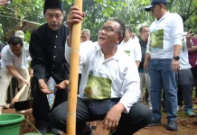 National Bamboo Movement Aims to Restore Indonesia's Ecosystems