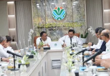 Giant Sea Wall Project, a Major Coastal Protection Initiative