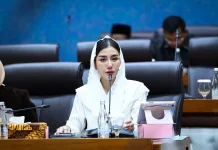 Parliament Pushes for Revision of Film Law to Align with Creative Industry
