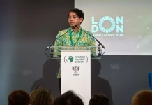 Indonesia Pushes for Strengthening of Global Carbon Market in London