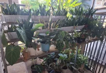 Planting Good for Your Body, Mind, and Nature