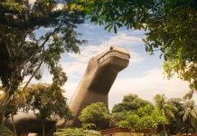 Indonesian Fauna Museum Introduces Various Local Wildlife