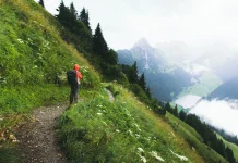 Mount Halimun Salak Launches National-Standard Ajisaka Trail