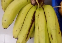 Just Eat Banana Regularly