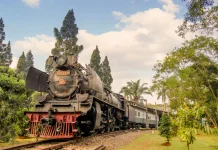 Transportation Museum Showcases the History of Vehicle Evolution in Indonesia