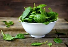 Rich in Nutrients, Spinach Has Various Benefits for Body Health