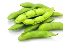 Edamame, a Healthy Snack Rich in Protein with Various Benefits