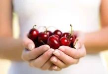 The Benefits of Cherry Fruit for Health, from Boosting Immunity to Overcoming Insom