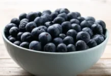 Blueberry, Small Fruit with a Wealth of Health Benefits