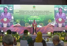 Indonesia Shifts Land Restoration Beyond Tree Planting
