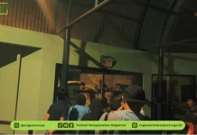 Experience Ragunan from a Different Perspective Through Night at Ragunan Zoo