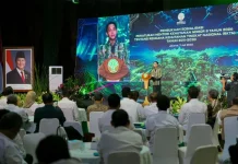 Government Launches Forestry Carbon Hub Strengthening National Forestry Carbon