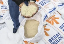 Indonesian Farmers Sustain Rice Production, Support Global Rice Reserves