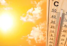 Beyond Heatwaves: Staying Healthy During Hot Weather