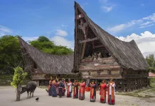 The History of the Batak Tribe, a Cultural Heritage Growing in North Sumatra