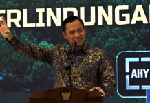 Indonesia Pitches Giant Sea Wall as Economic Transformation Project